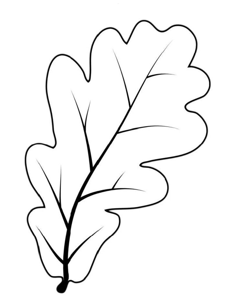 tô màu chiếc lá 13