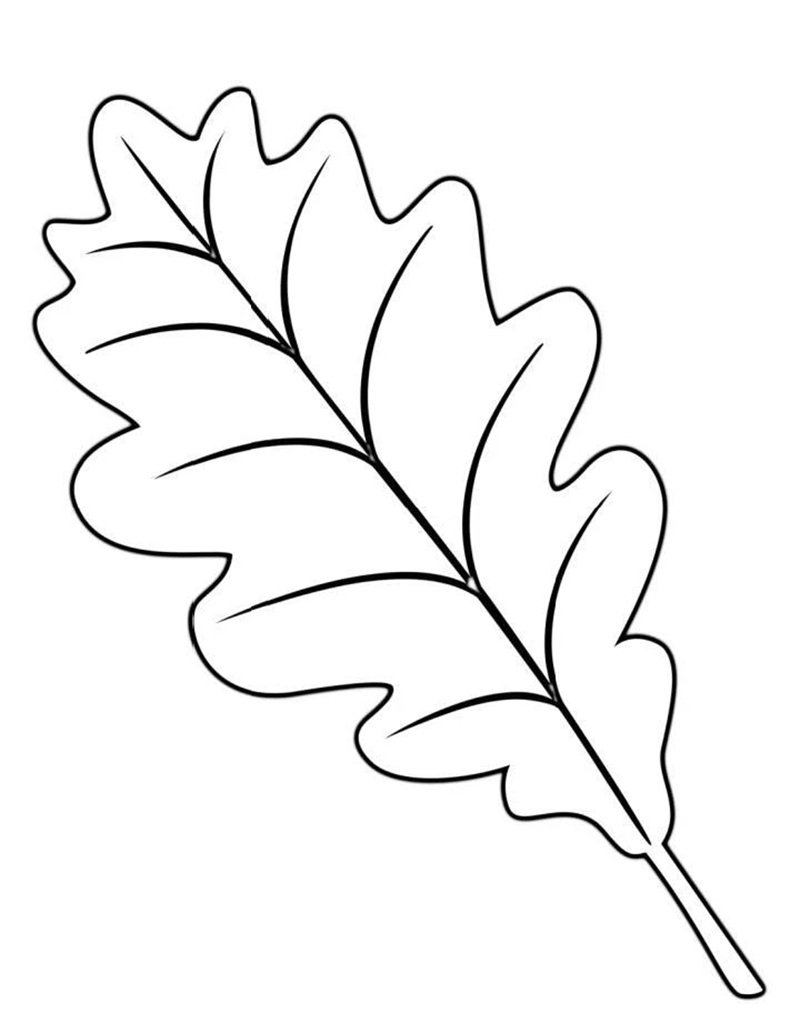 tô màu chiếc lá 17