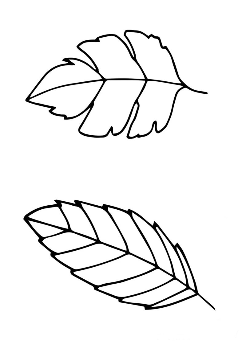 tô màu chiếc lá 19