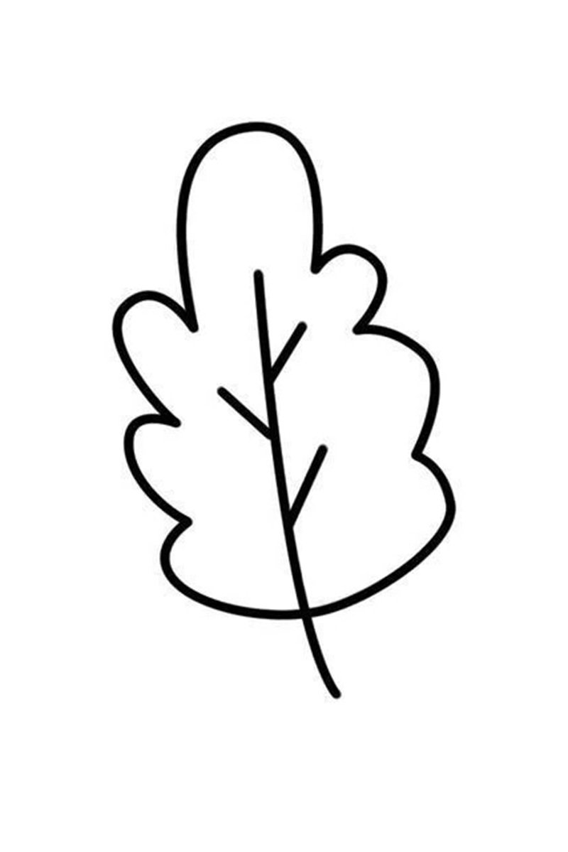 tô màu chiếc lá 2