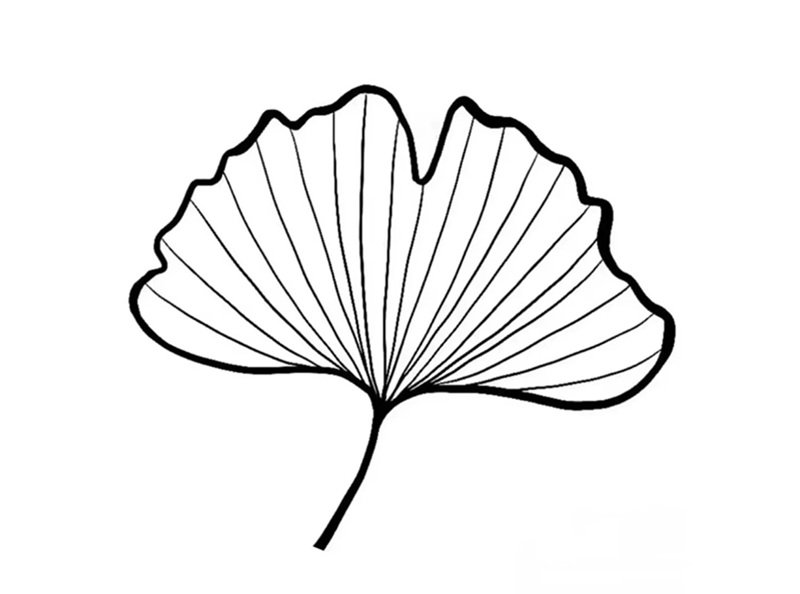 tô màu chiếc lá 20