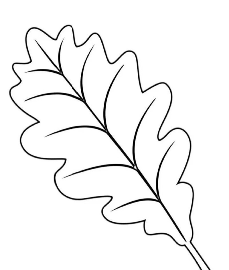 tô màu chiếc lá 21