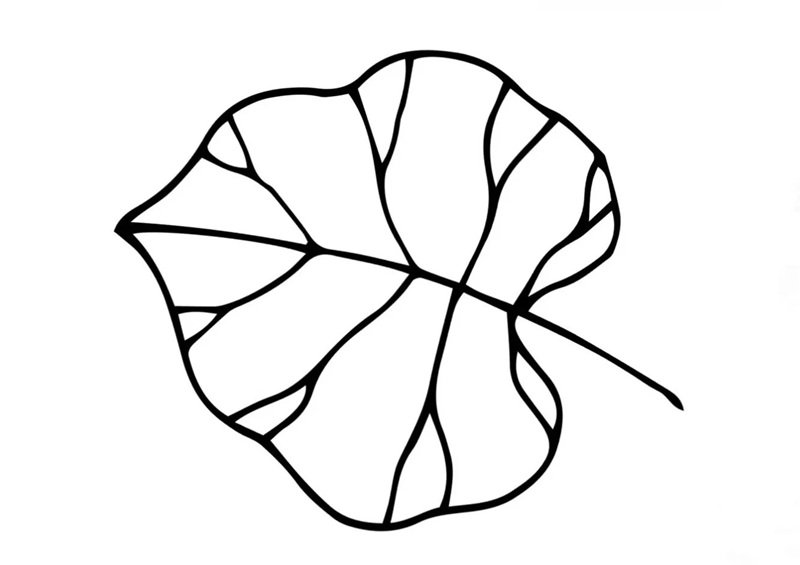 tô màu chiếc lá 22