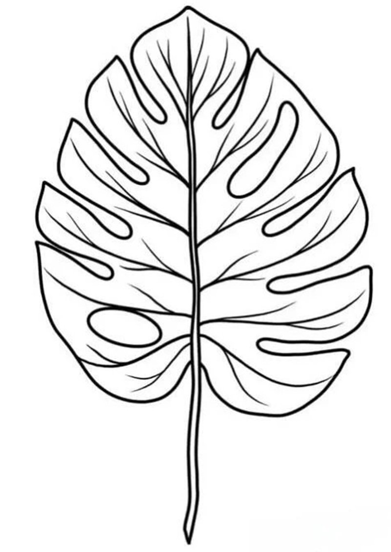 tô màu chiếc lá 25