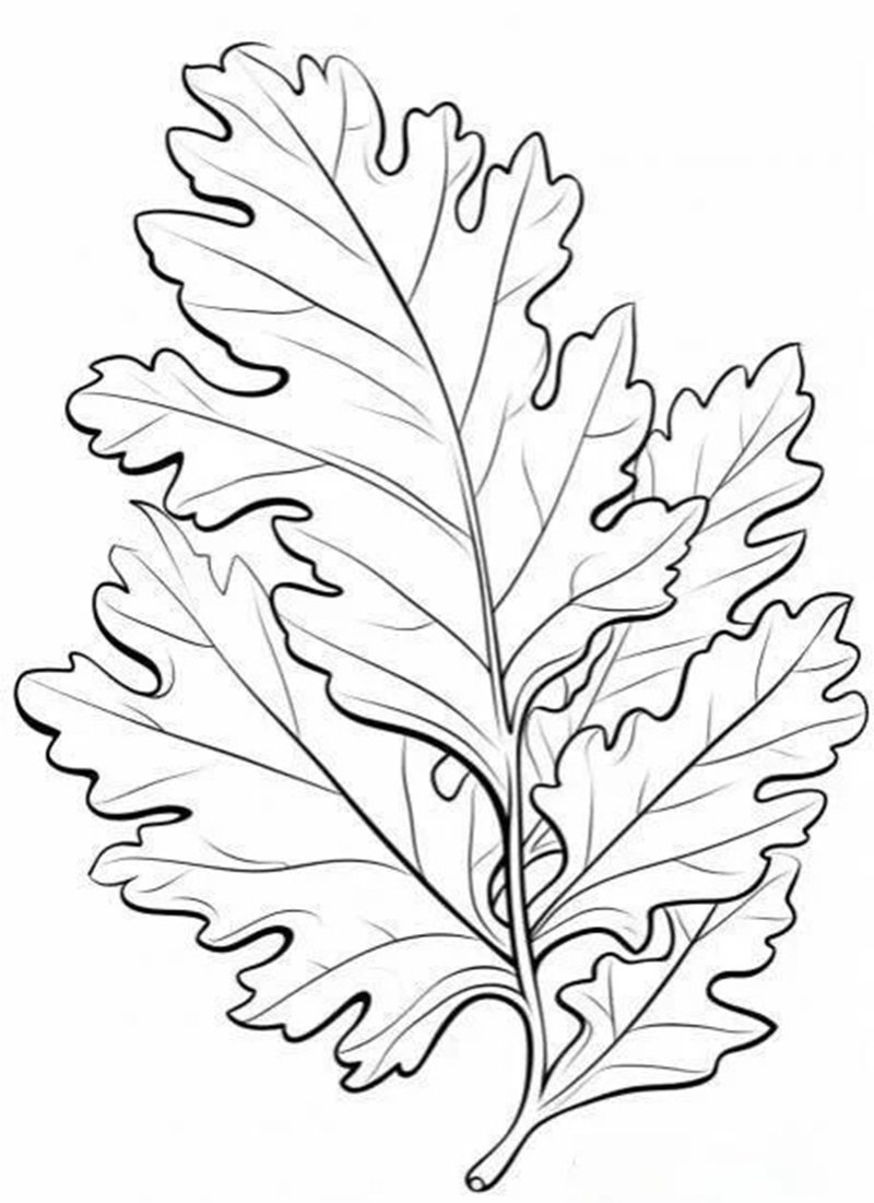 tô màu chiếc lá 26