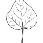 tô màu chiếc lá 27
