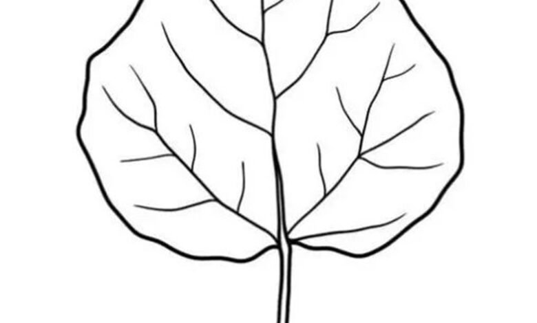 tô màu chiếc lá 27
