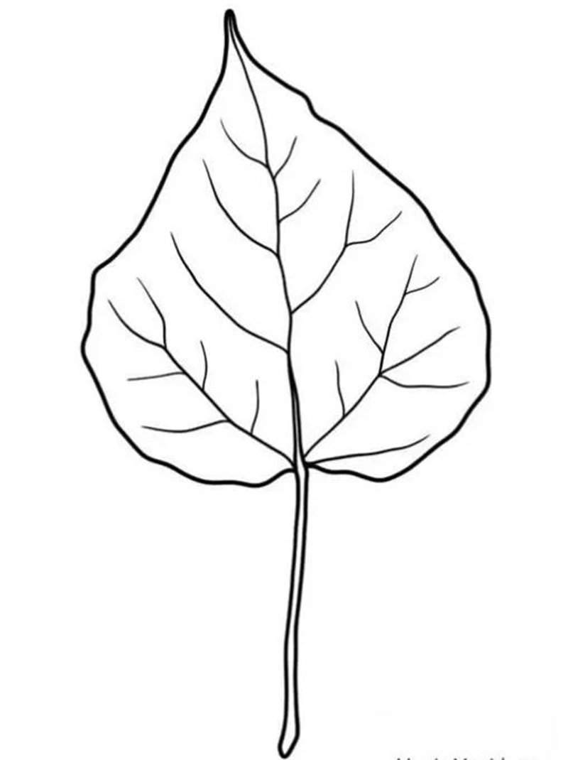tô màu chiếc lá 27