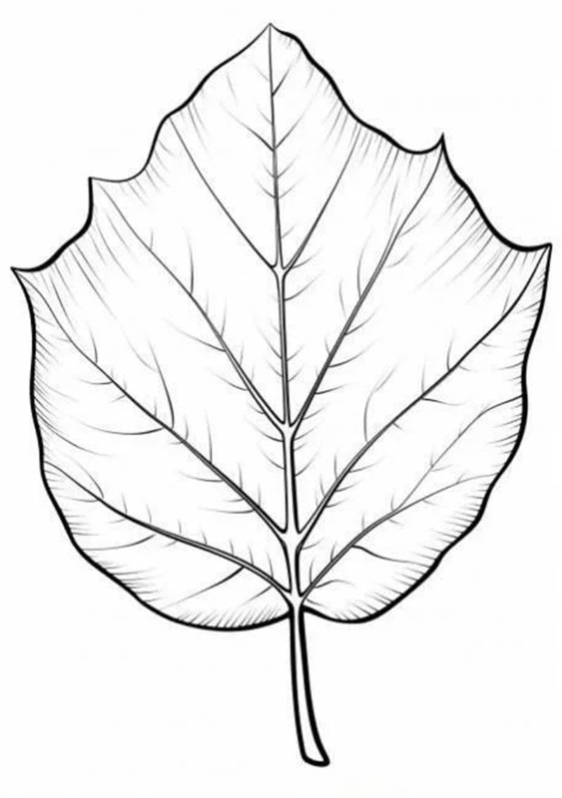 tô màu chiếc lá 28
