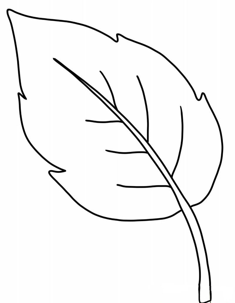 tô màu chiếc lá 31