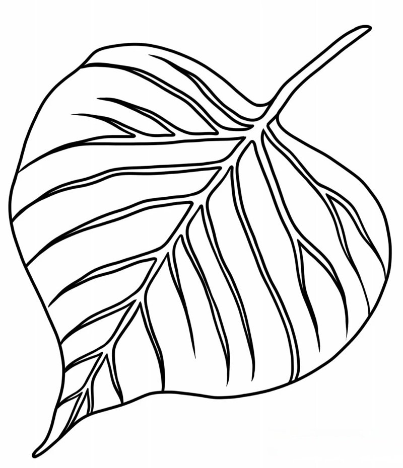 tô màu chiếc lá 33