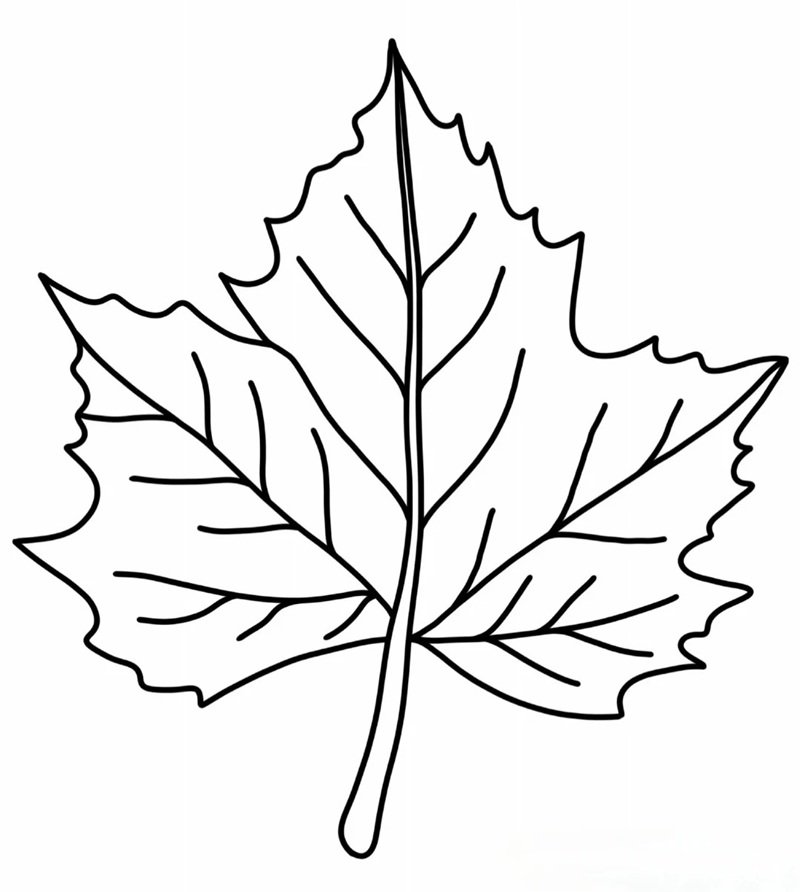 tô màu chiếc lá 35
