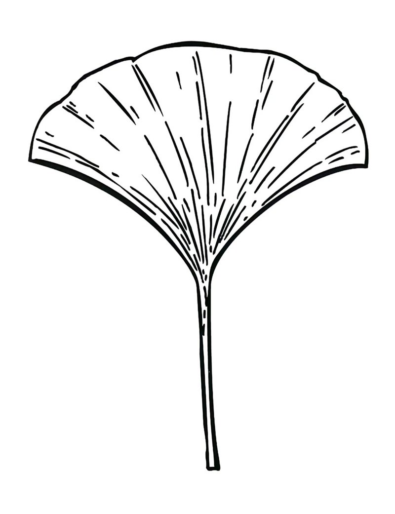 tô màu chiếc lá 39