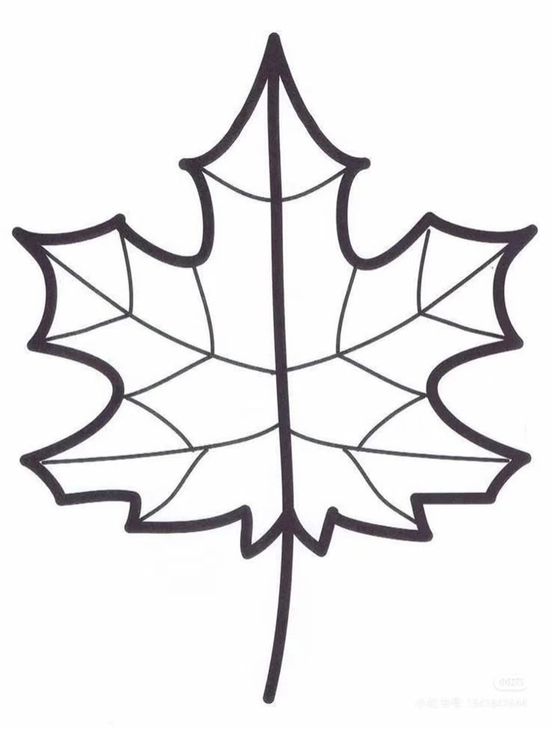 tô màu chiếc lá 40