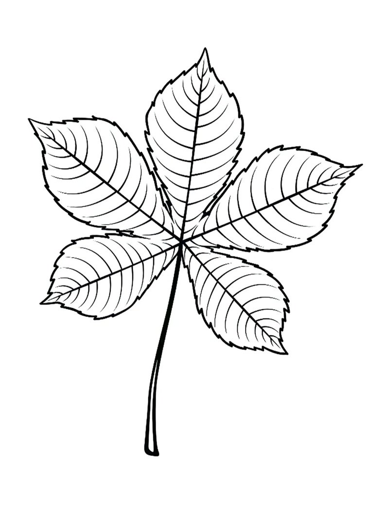 tô màu chiếc lá 41