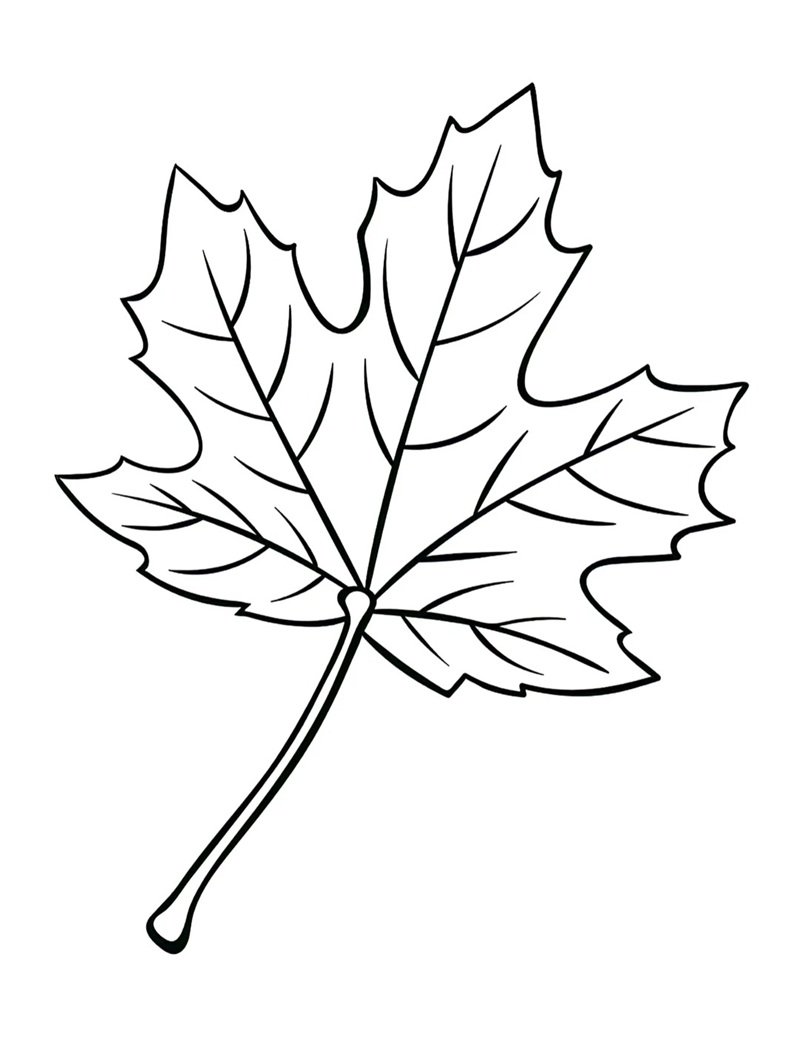 tô màu chiếc lá 43