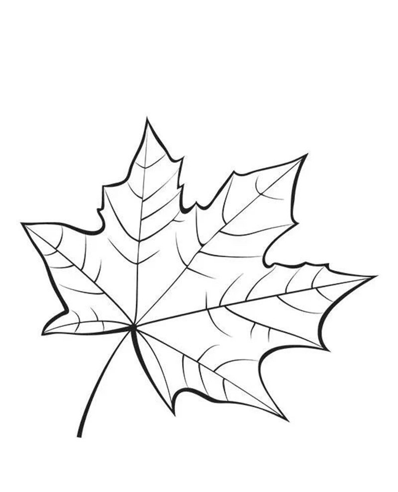 tô màu chiếc lá 6