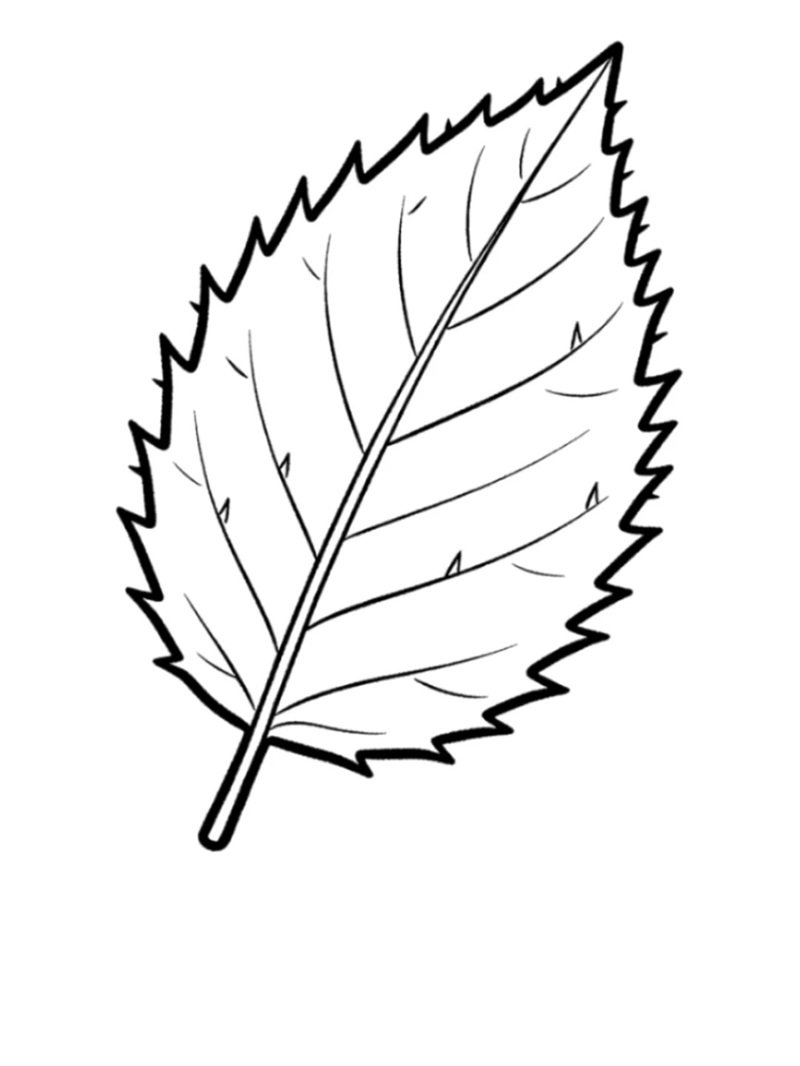 tô màu chiếc lá 8