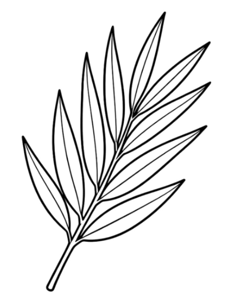 tô màu chiếc lá 9