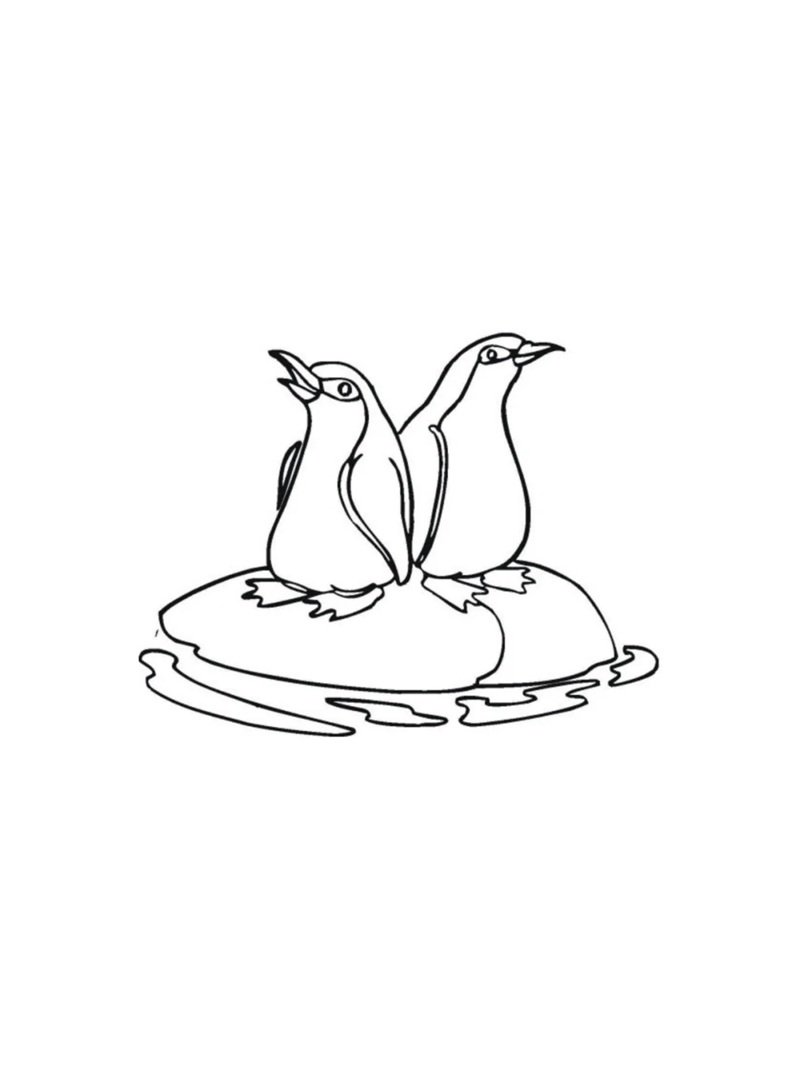 tô màu chim cánh cụt 1
