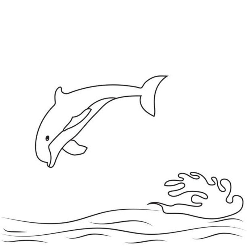 tô màu con cá heo 14