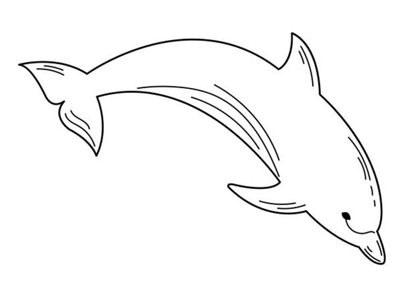 Dolphin sketch, black and white image, outline.