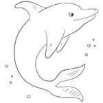 tô màu con cá heo 24