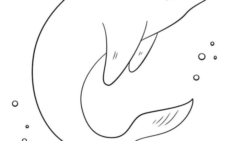 tô màu con cá heo 24