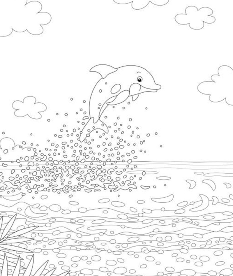 tô màu con cá heo 9