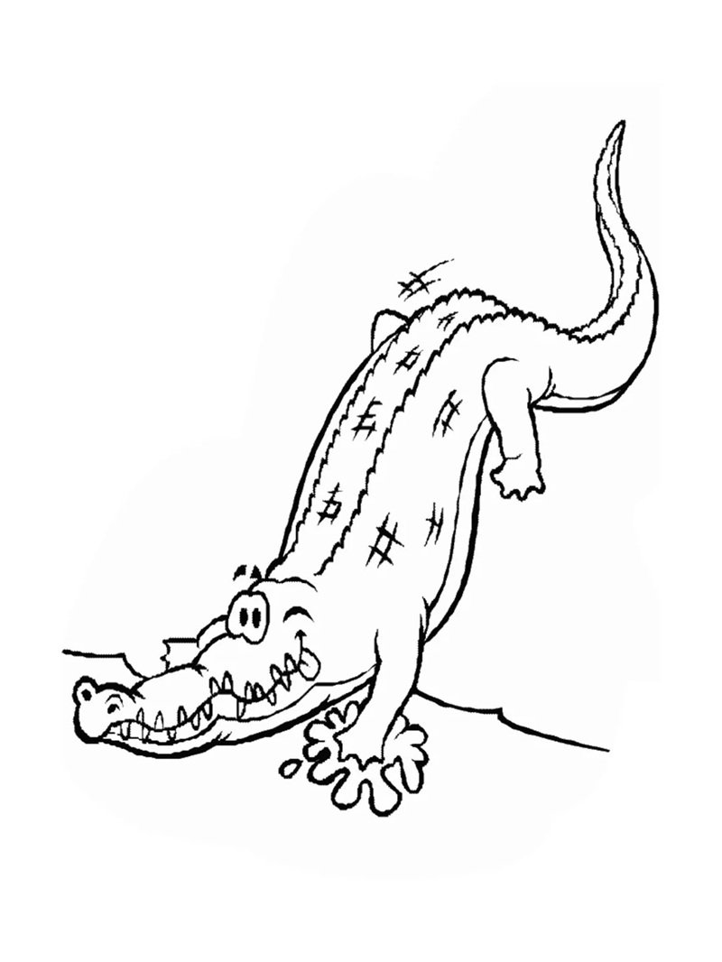 tô màu con cá sấu 2