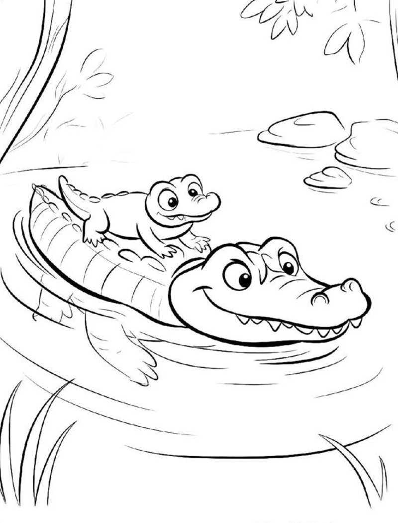 tô màu con cá sấu 28