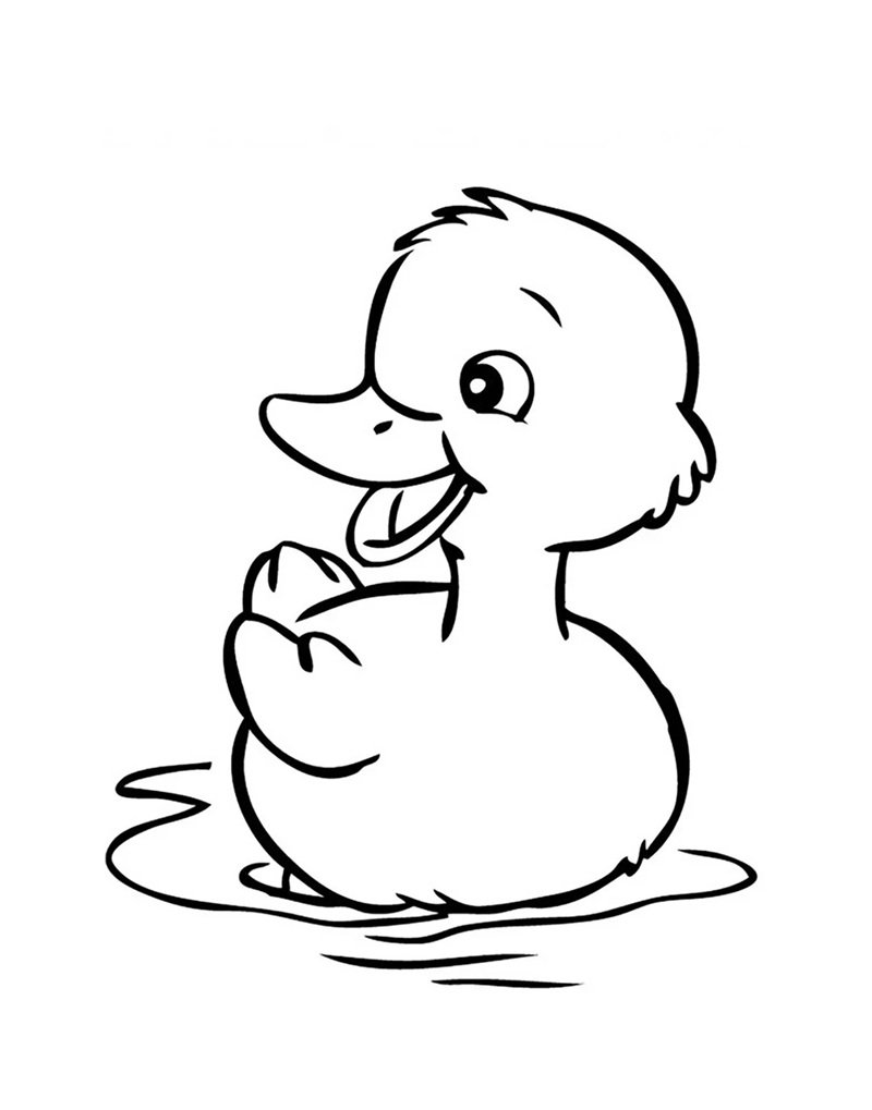 tranh tô màu con vịt 1