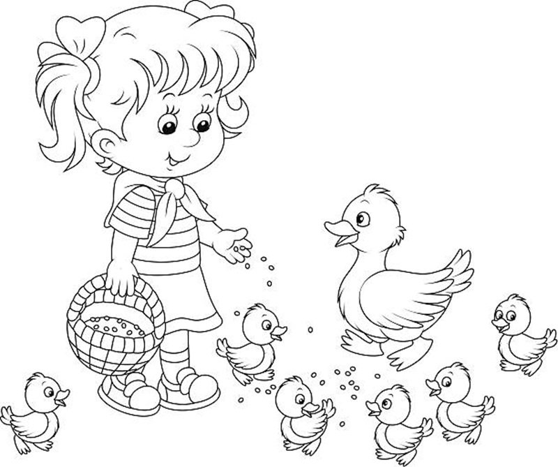 Little girl feeds a white duck and small ducklings