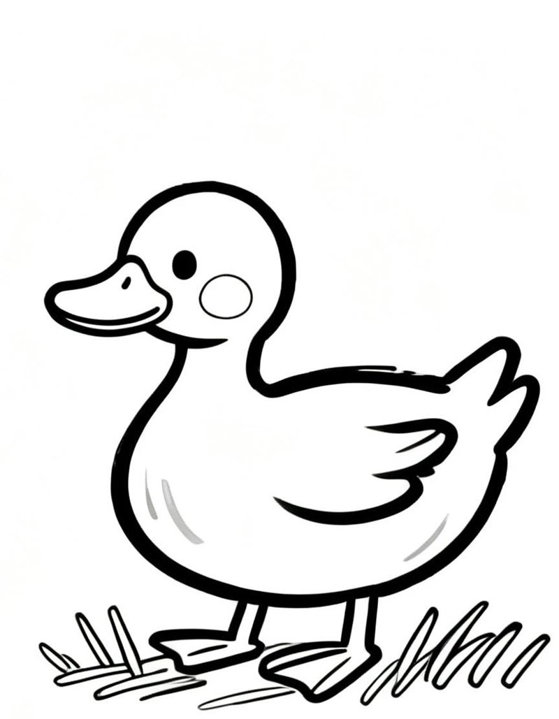 tranh tô màu con vịt 16