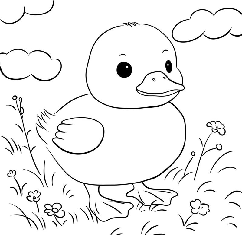 tranh tô màu con vịt 27