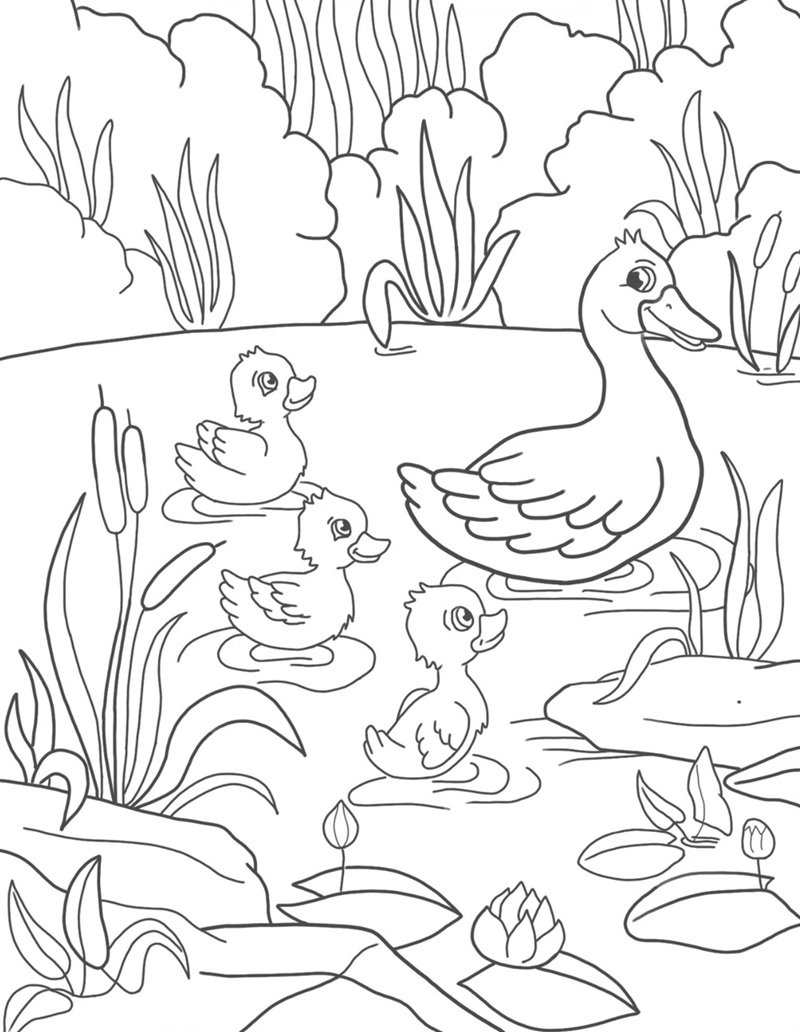 tranh tô màu con vịt 33