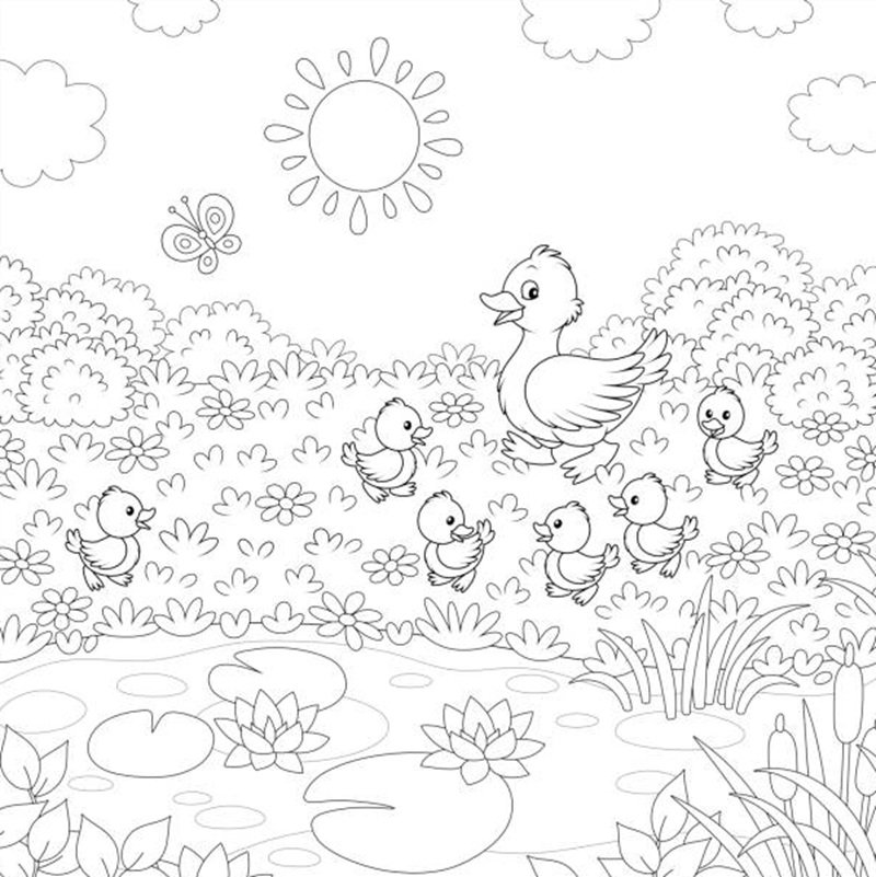 tranh tô màu con vịt 4