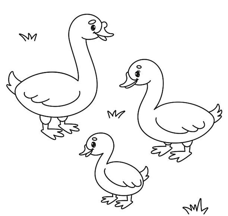 Cute Gosling Family – Black and White Vector Illustration