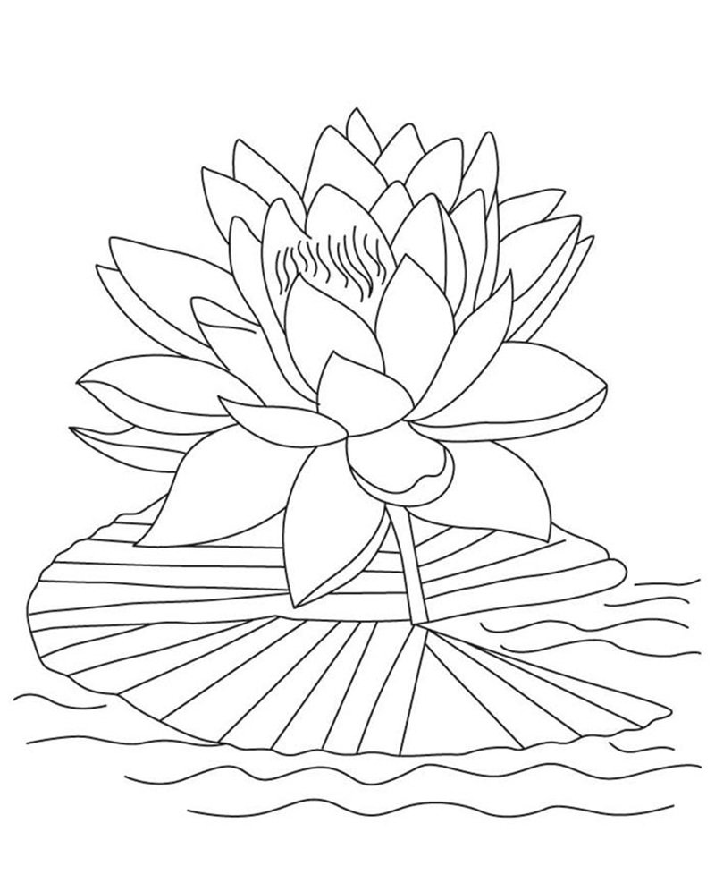 Tranh tô màu Hoa sen cho bé