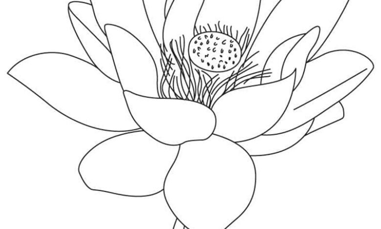 tranh tô màu hoa sen 12
