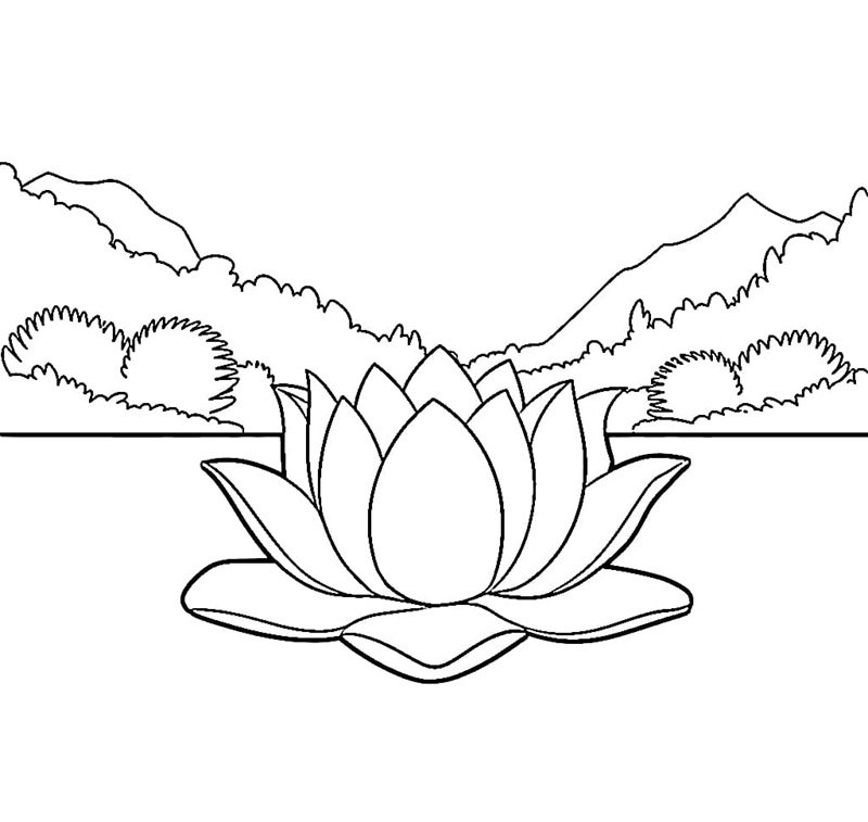 tranh tô màu hoa sen 14