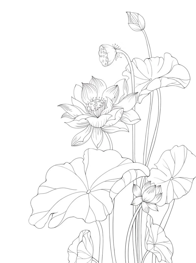 tranh tô màu hoa sen 26