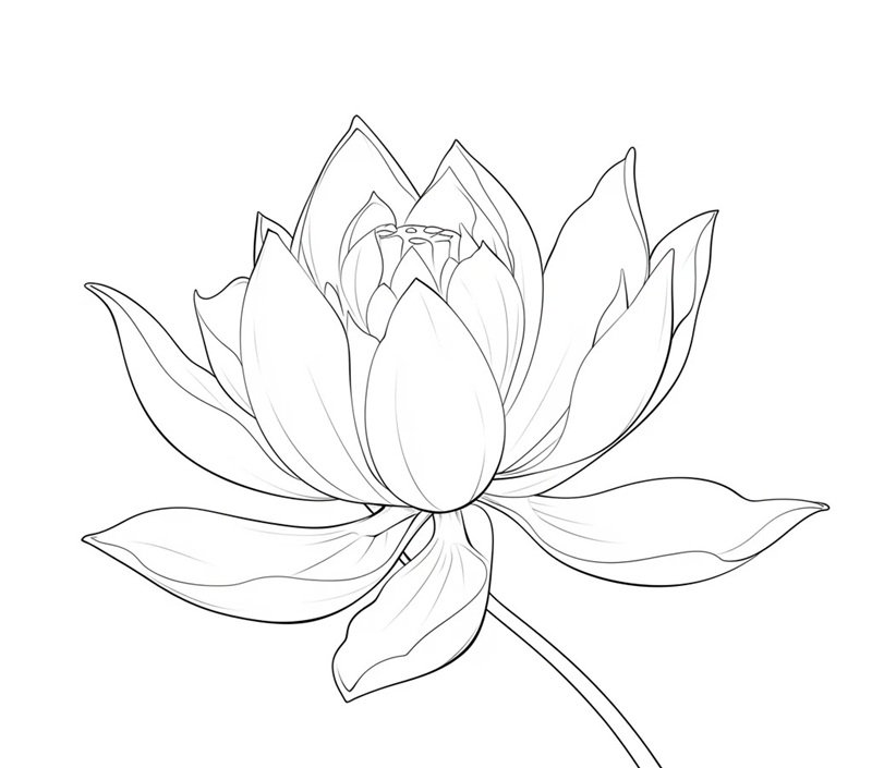 tranh tô màu hoa sen 30