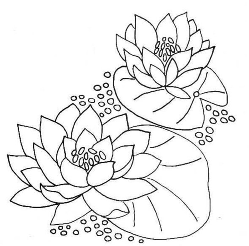 Tranh tô màu Hoa sen cho bé