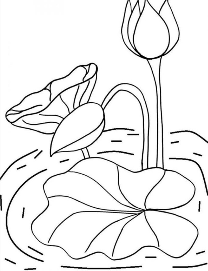 Tranh tô màu Hoa sen cho bé