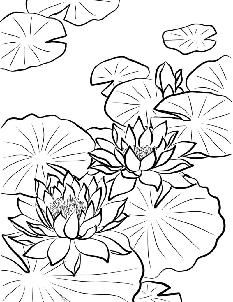 tranh tô màu hoa sen 9