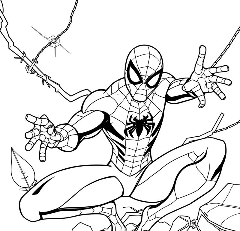 tranh tô màu người nhện 23