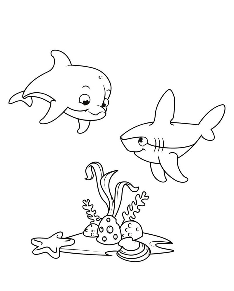 tô màu cá mập 13