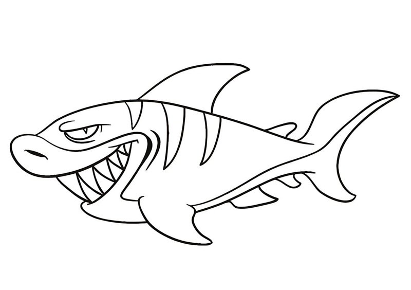 tô màu cá mập 14
