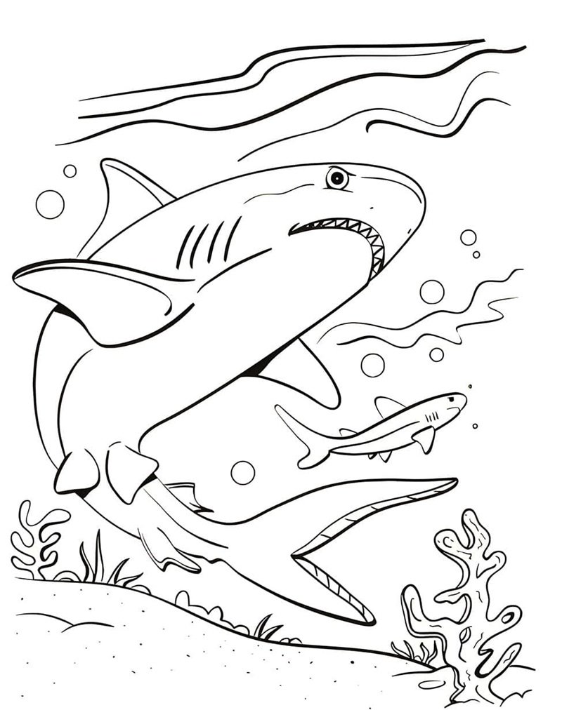 tô màu cá mập 15